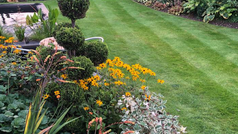 Green lawn and flowers